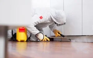 شركة مكافحة حشرات بالرياض